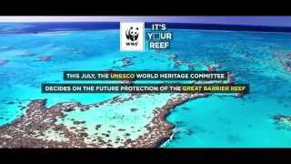 Vote for the Reef - It's your Reef!