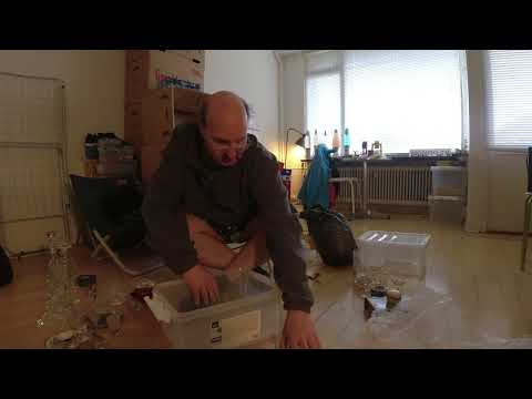 MongoTV_11000 - MIN NYE LEJLIGHED - Del 74 - Jeg Må Af Med Flere Ting Før Jeg Flytter