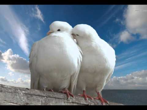 Massimo Di Cataldo ... "Con Il Cuore" (Precious Moments) - R 'n' B Remix Version