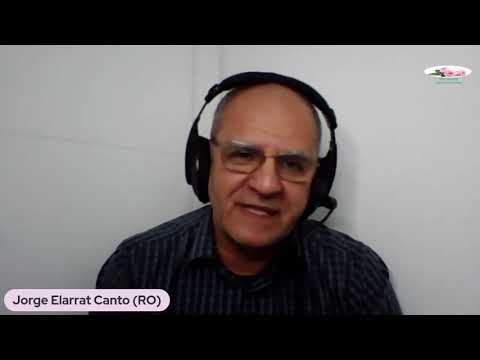 A esquizofrenia é um processo da mente dividida? Está ligada ao fenômeno mediúnico, obsessivo?