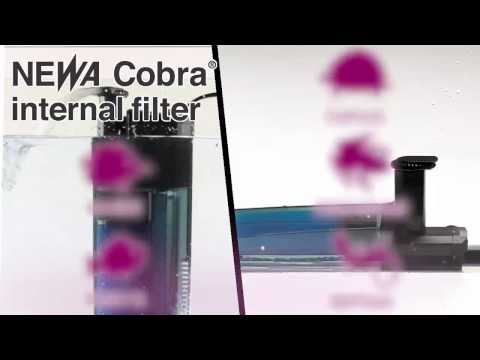 Watch Video on YouTube