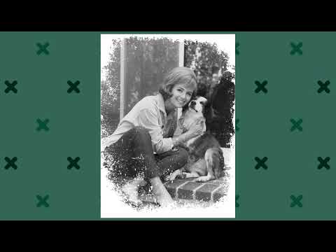 Prepare to Be Disappointed: The Truth Behind The Donna Reed Show TV Series