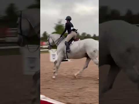 Chef D'overe Z video 1