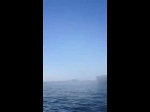 The Wiseguys - Ooh La La - Belmont2 - Fuutt2012