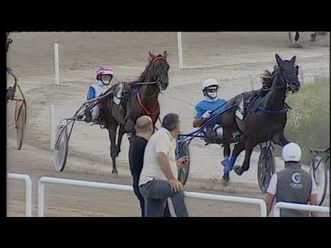 Trotto 17/07/2020 - 1ª corsa