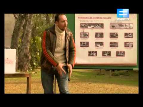 Curso de Primeros auxilios, Clase 6 Intoxicaciones  Picaduras y mordeduras 1