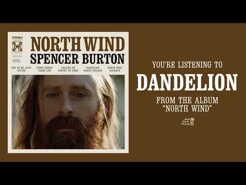 Dandelion - Spencer Burton