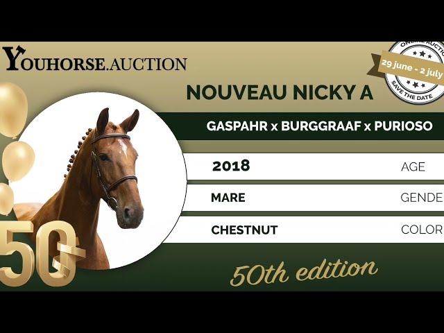Nouveau Nicky A showvideo