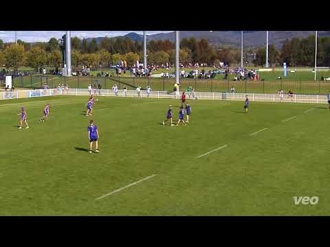 2024 NSW Junior Regionals   B12   Grand Final   Hornets v Southern Rebels