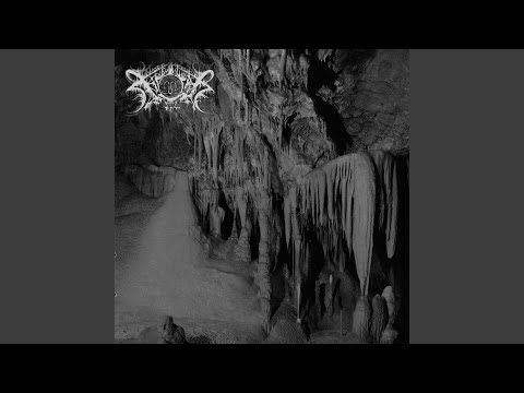 Instrumental - Xasthur