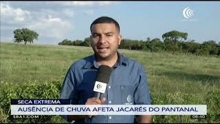 Miniatura do vídeo