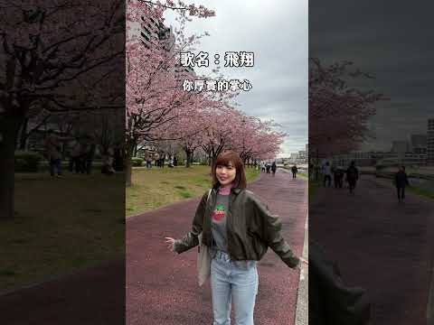 《飛》lyrics歌詞版 #一隻阿圓