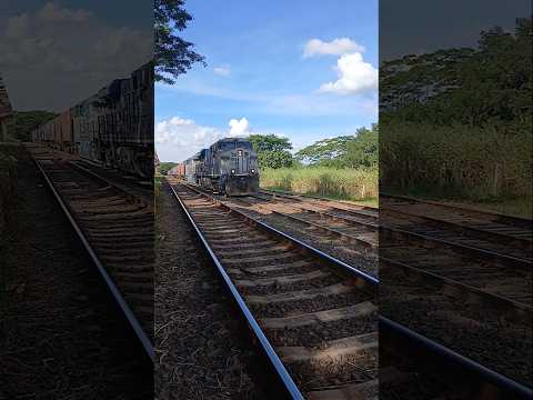 Trem vazio saindo de Cândido Rodrigues sp #train #shorts