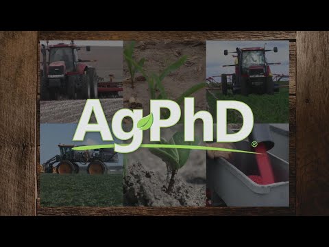 Drawing Attention July 2017 Urban Sketchers