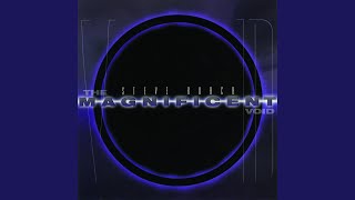 The Magnificent Void