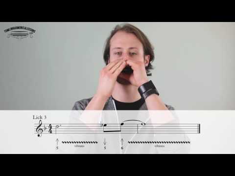 Easy by Big Walter Horton Blues Harmonica Lesson on Bb Harmonica + Free Harp Tab