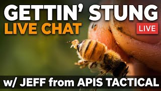 Getting Stung ~ Live Chat With Apis Tactical