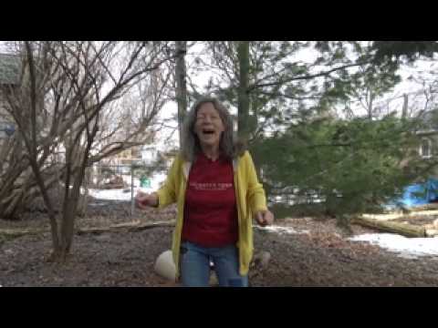 Promotional video thumbnail 2 for Laughing for the Health of it