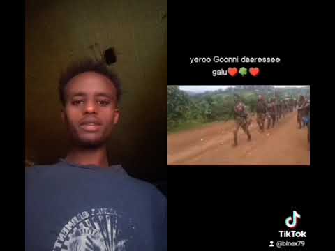 Yeroo gooni daaressee galu,WBO KOO wabii sabaa galatoomaa