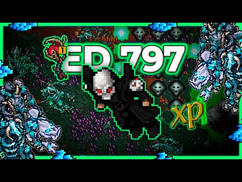 ED 797 Hunt x4 Outer Crypt 12.7kk/h Raw + 4.6kk Profit - Tibia Hunt [15.13]