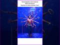 Classical Dance Performance By Artists Icmdance Classical Dance Icmtabla Shorts