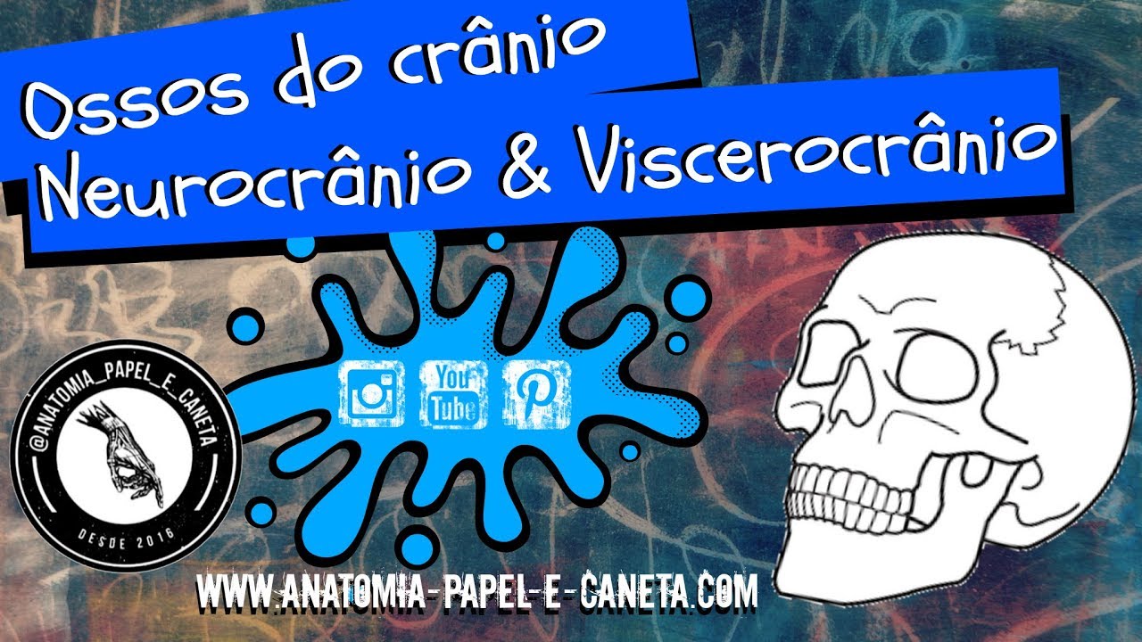 Ossos do crânio - NEUROCRÂNIO e VISCEROCRÂNIO