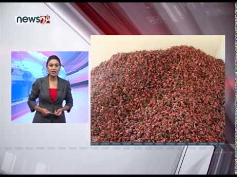 EVENING NEWS FATAFAT - NEWS24 TV