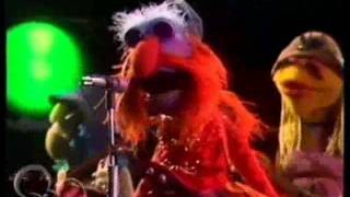 suck my muppets