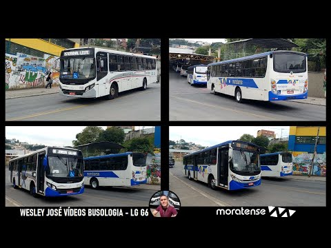 Apache VIP II e IV sc MB OF-1722M, OF-1721 BT5 e OF-1724 BT5 - 684, 756, 818 e 852 da Moratense