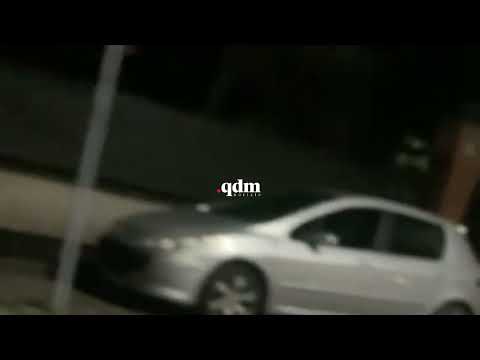 Jesi  Il  lupo torna a far parlare di sé: nuovo avvistamento in pieno centro