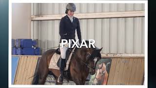 Pixar NEDA Sporthorse