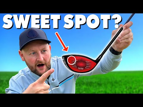 I Tried The TAYLORMADE Fargiveness Test! (Stealth 2 Driver)