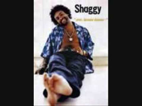 Shaggy- Mr. Boombastic (lyrics)