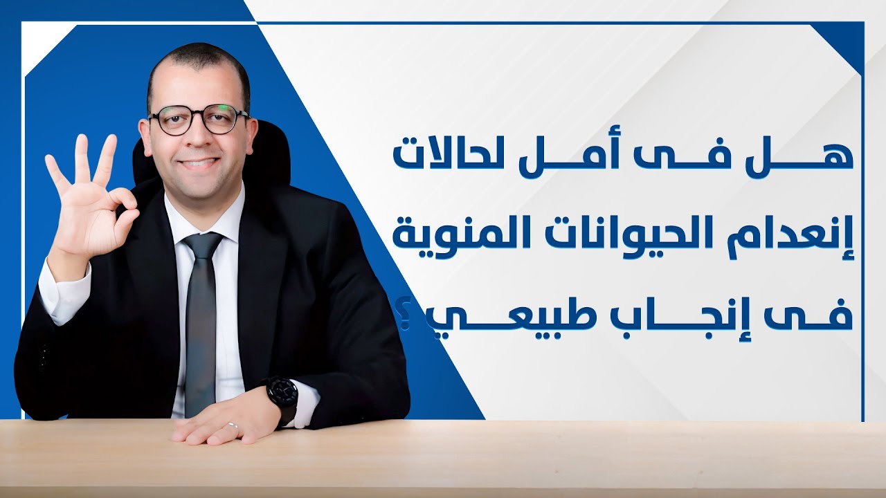 معاينة فيديو: حتى لو فى انـعـدام فى الـحـيـوانـات الـمـنـويـة ممكن يـحـصـل انـجـاب طـبـيـعـي - علاج تأخر الانجاب