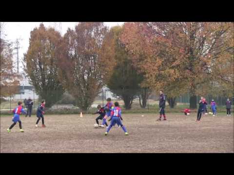 Barcanova   Pianezza Blu Partita del 20 Novembre 2016