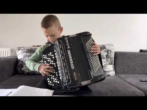 Nemanja Pavlovic ( skola harmonika Aca Nikolic Brajic )