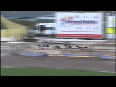 2019 BGBF Puppy Cup Semi Final 2 - King Idol