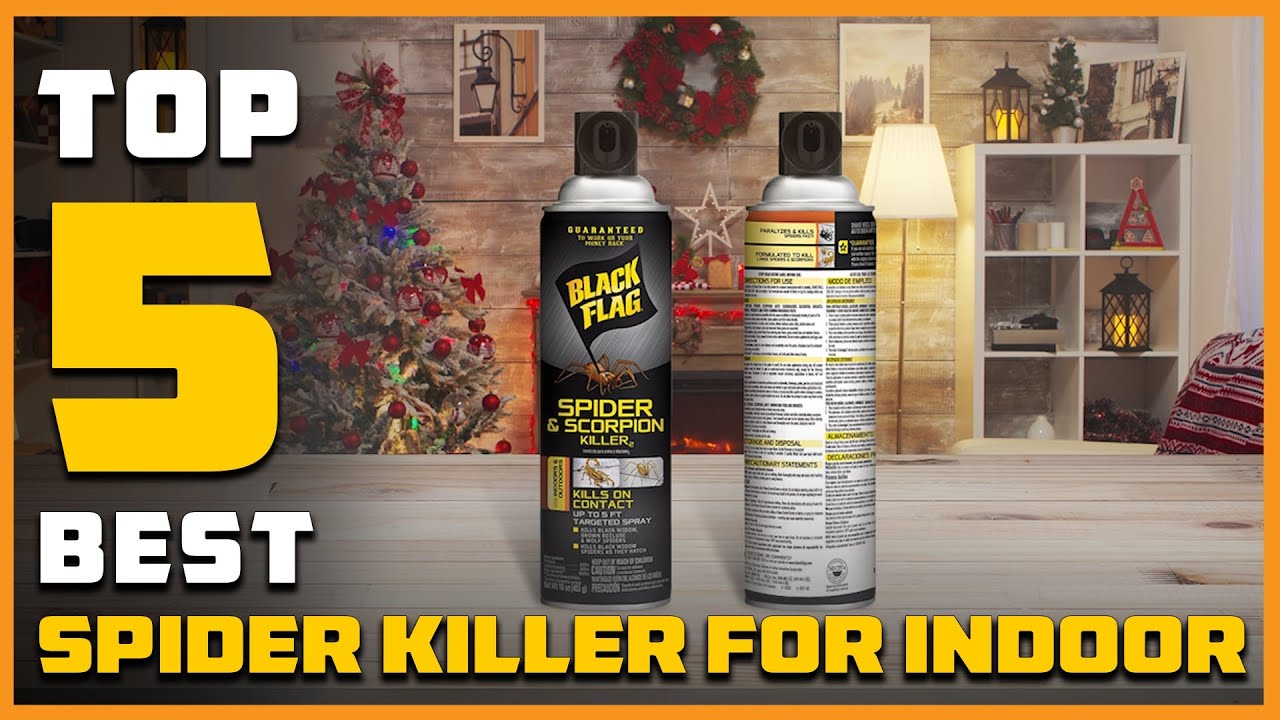 Top 5 Best Spider Killers for Indoor [Review 2025] - Spider Spray Indoor and Outdoor