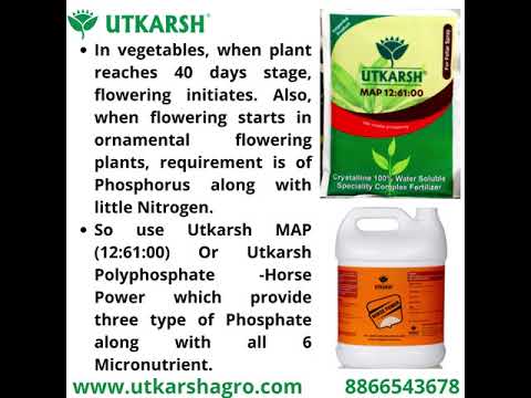 Potassium phosphate water soluble fertilizer