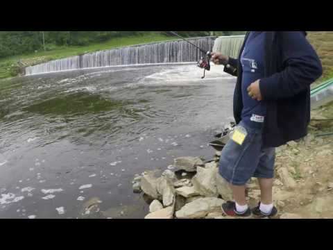 Caught a nice a brown trout at the covered bridge