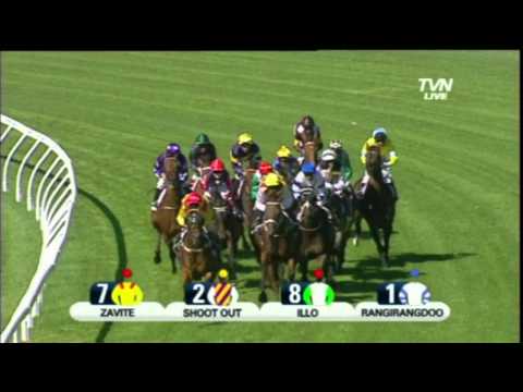 2012 Ranvet Stakes- Manighar