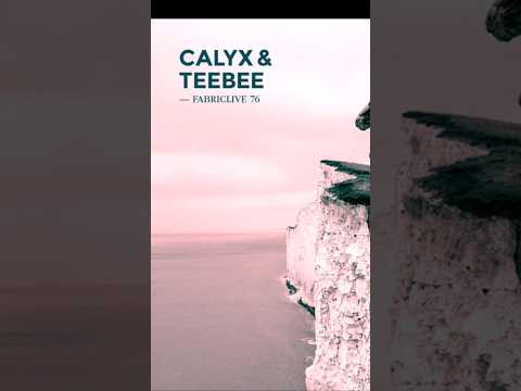 Calyx & TeeBee own FabricLive 76.#fabriclive #drumandbass #dnb #djmix #calyxandteebee