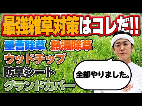 美しい庭のための天然マルチ