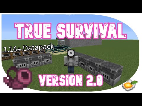 Devon's Desk - Minecraft TRUE SURVIVAL MODE 2.0 (Patch Notes 03) | 1.16+ Datapack