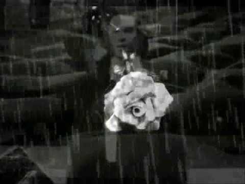 NICOLA ARIGLIANO-T'ho Vista In Prèvert