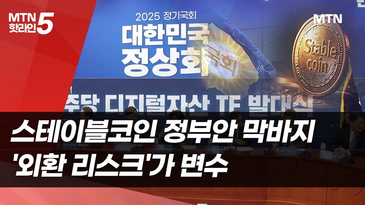 스테이블코인 정부안 막바지…'외환 리스크'가 변수  / 머니투데이방송 (뉴스)
