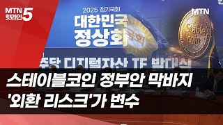스테이블코인 정부안 막바지…'외환 리스크'가 변수  / 머니투데이방송 (뉴스)