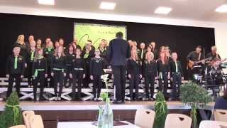 Vocalispur 2014 &quot;Altes Fieber&quot; von Die Toten Hosen