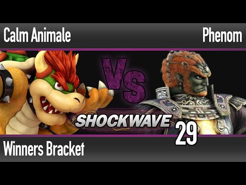 SW 29 Wii U - Calm Animal (Bowser) vs Phenom (Ganon, Fox) - Winners Bracket