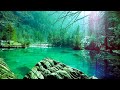 12 Hours of Relaxing Sleep Music for Stress Relief, Sleeping & Meditation (Flying)